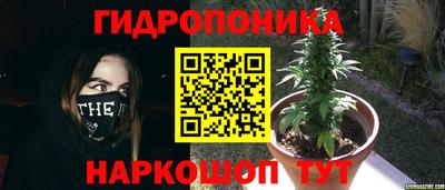 ALPHA PVP Заволжье