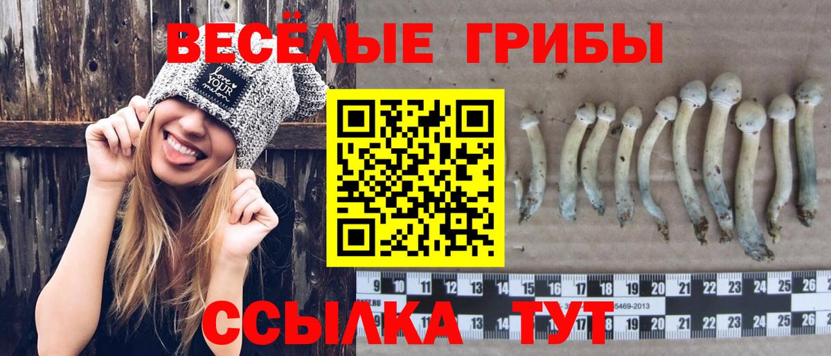 сколько стоит  Галлюциногенные грибы ЛСД  Вход с VPN  Ливны 